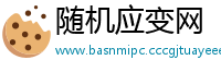 随机应变网